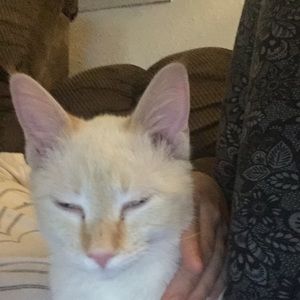 Meet your Posher, Harley